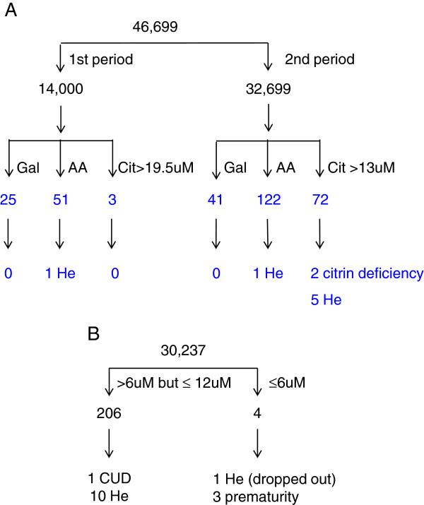 https://cdn.ncbi.nlm.nih.gov/pmc/blobs/9de0/3575349/73045a214d6f/1471-2350-14-24-1.jpg