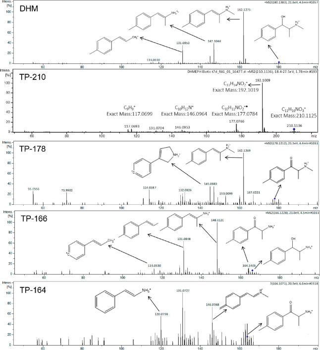 https://cdn.ncbi.nlm.nih.gov/pmc/blobs/9de0/8613814/7293eceb09d5/ao1c04362_0004.jpg