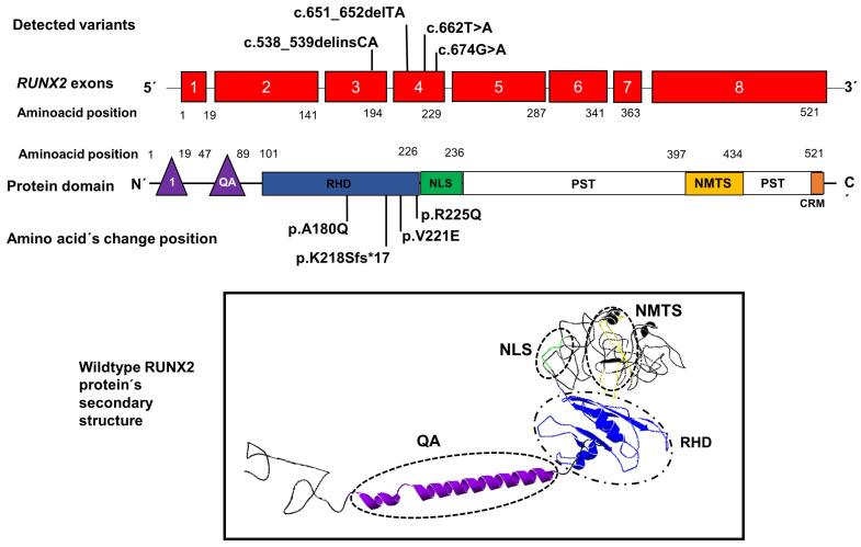 https://cdn.ncbi.nlm.nih.gov/pmc/blobs/9de2/10968410/0e54db81bd2d/biology-13-00173-g003.jpg
