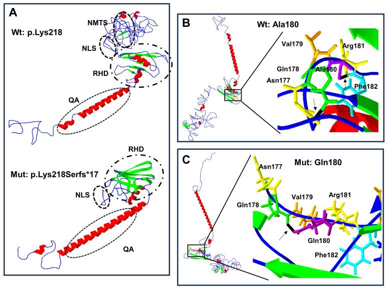https://cdn.ncbi.nlm.nih.gov/pmc/blobs/9de2/10968410/72814672e149/biology-13-00173-g004.jpg