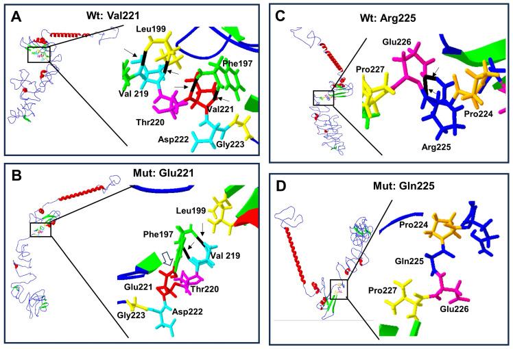 https://cdn.ncbi.nlm.nih.gov/pmc/blobs/9de2/10968410/a0a5cad0d720/biology-13-00173-g005.jpg