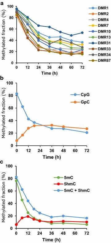 https://cdn.ncbi.nlm.nih.gov/pmc/blobs/9de2/4967341/dd8b16dc7e07/13072_2016_79_Fig5_HTML.jpg