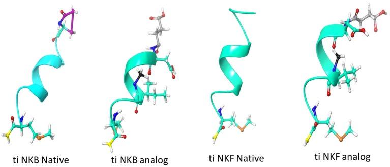 https://cdn.ncbi.nlm.nih.gov/pmc/blobs/9de3/6639853/accd13adff0d/fendo-10-00469-g0001.jpg