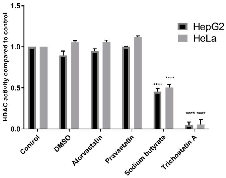 https://cdn.ncbi.nlm.nih.gov/pmc/blobs/9de7/6521159/9f05f0bd8827/cancers-11-00516-g003.jpg