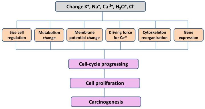 https://cdn.ncbi.nlm.nih.gov/pmc/blobs/9de8/11764231/2a43143eda2f/cancers-17-00286-g003.jpg