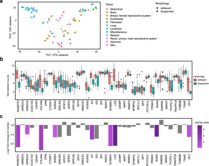 https://cdn.ncbi.nlm.nih.gov/pmc/blobs/9de9/7642379/327f66203f6e/41598_2020_76137_Fig6_HTML.jpg