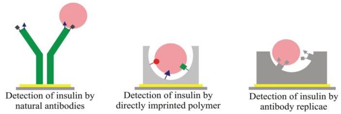 https://cdn.ncbi.nlm.nih.gov/pmc/blobs/9deb/4263596/324e86f55734/biosensors-03-00089-g002.jpg