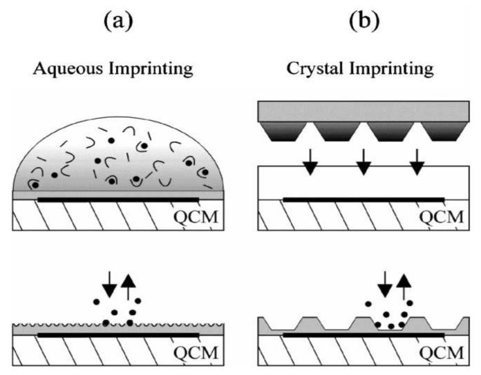 https://cdn.ncbi.nlm.nih.gov/pmc/blobs/9deb/4263596/e0f446a1d958/biosensors-03-00089-g001.jpg