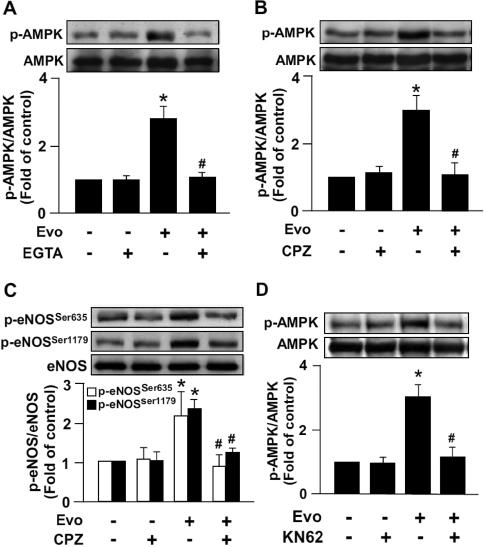 https://cdn.ncbi.nlm.nih.gov/pmc/blobs/9deb/7751829/28d307626110/10020_2012_1805805_Fig2.jpg