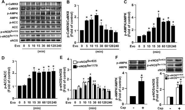 https://cdn.ncbi.nlm.nih.gov/pmc/blobs/9deb/7751829/5cb6cdae8e02/10020_2012_1805805_Fig1.jpg