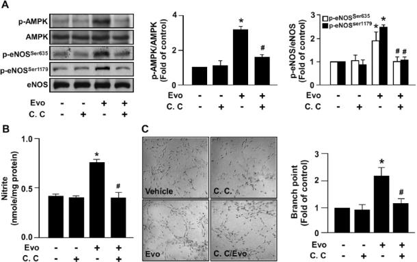 https://cdn.ncbi.nlm.nih.gov/pmc/blobs/9deb/7751829/8b320bde0152/10020_2012_1805805_Fig3.jpg