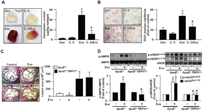 https://cdn.ncbi.nlm.nih.gov/pmc/blobs/9deb/7751829/e6493b0a02c9/10020_2012_1805805_Fig7.jpg