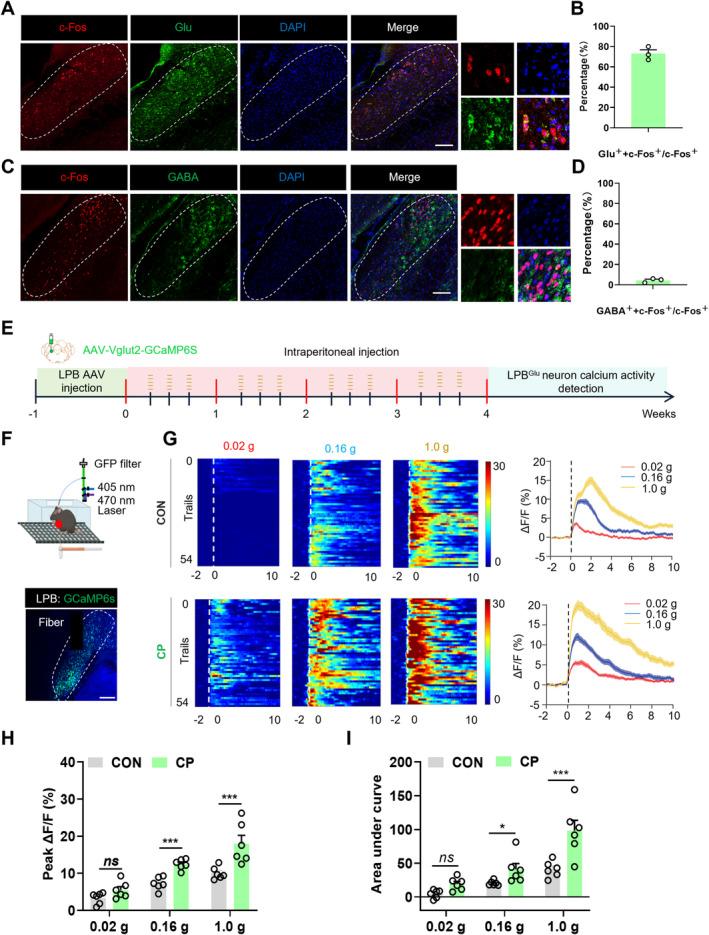 https://cdn.ncbi.nlm.nih.gov/pmc/blobs/9dec/11871393/925af0e7d716/CNS-31-e70313-g001.jpg