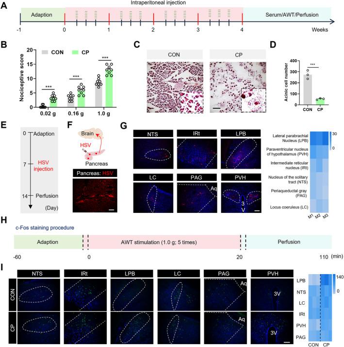 https://cdn.ncbi.nlm.nih.gov/pmc/blobs/9dec/11871393/f3826e7b6646/CNS-31-e70313-g005.jpg