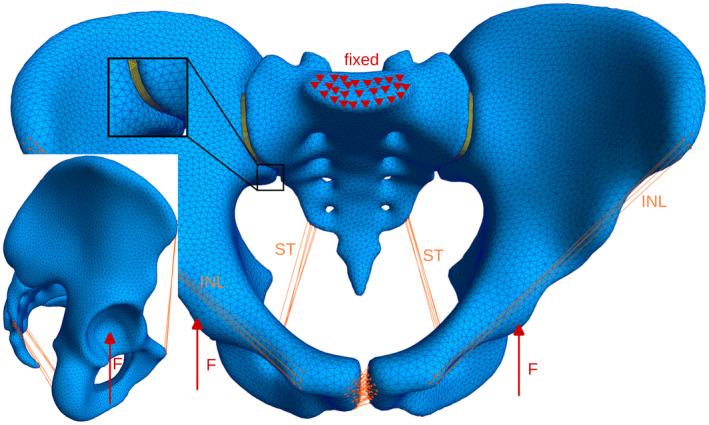 https://cdn.ncbi.nlm.nih.gov/pmc/blobs/9ded/11737311/974bce6bba9d/JOA-246-258-g003.jpg
