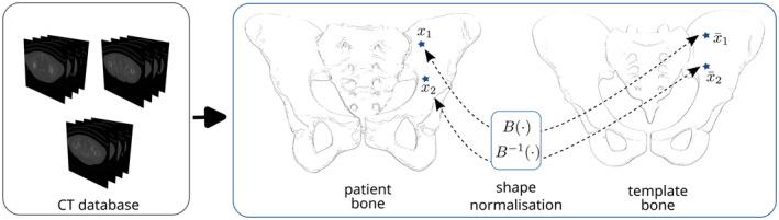 https://cdn.ncbi.nlm.nih.gov/pmc/blobs/9ded/11737311/a60fab802e2b/JOA-246-258-g009.jpg