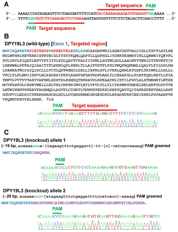 https://cdn.ncbi.nlm.nih.gov/pmc/blobs/9dee/8467457/1eb3a42b0b00/molecules-26-05685-g002.jpg