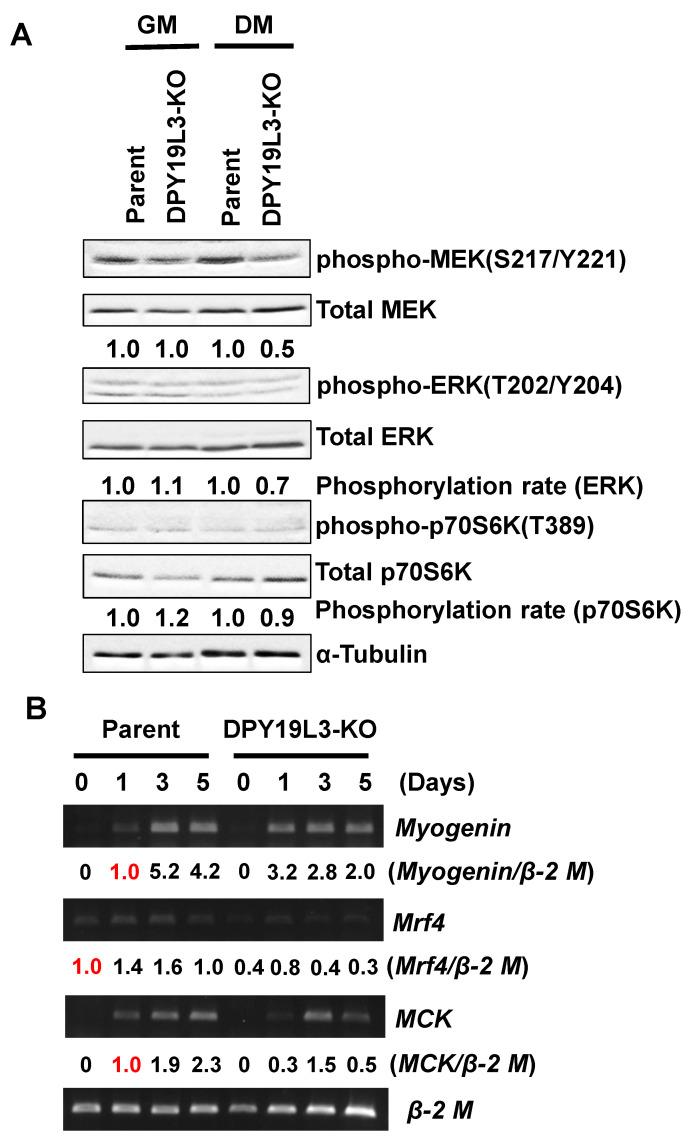 https://cdn.ncbi.nlm.nih.gov/pmc/blobs/9dee/8467457/6210acb689c9/molecules-26-05685-g004.jpg