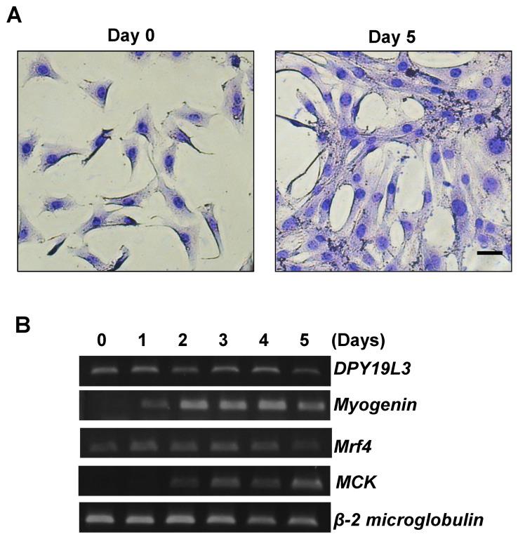 https://cdn.ncbi.nlm.nih.gov/pmc/blobs/9dee/8467457/7401fd325a36/molecules-26-05685-g001.jpg