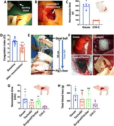 https://cdn.ncbi.nlm.nih.gov/pmc/blobs/9df4/7990328/12b3d3803a89/abc9992-F3.jpg