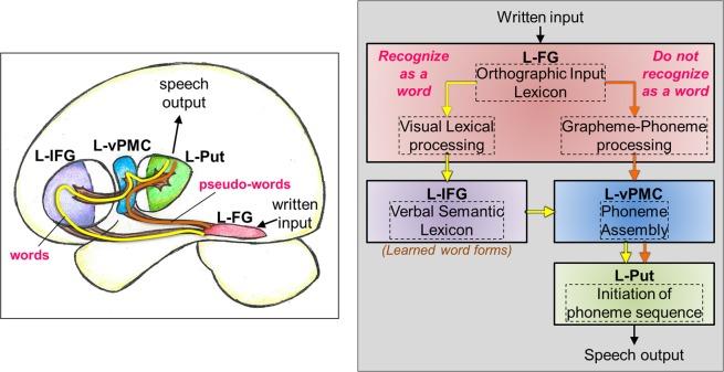 https://cdn.ncbi.nlm.nih.gov/pmc/blobs/9df7/6684813/25f870166522/41598_2019_47889_Fig1_HTML.jpg