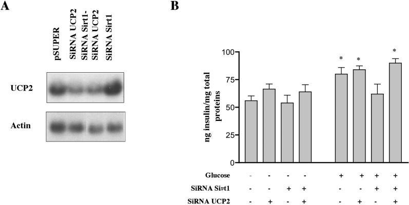https://cdn.ncbi.nlm.nih.gov/pmc/blobs/9df8/1363697/5efb005964cc/pbio.0040031.g006.jpg