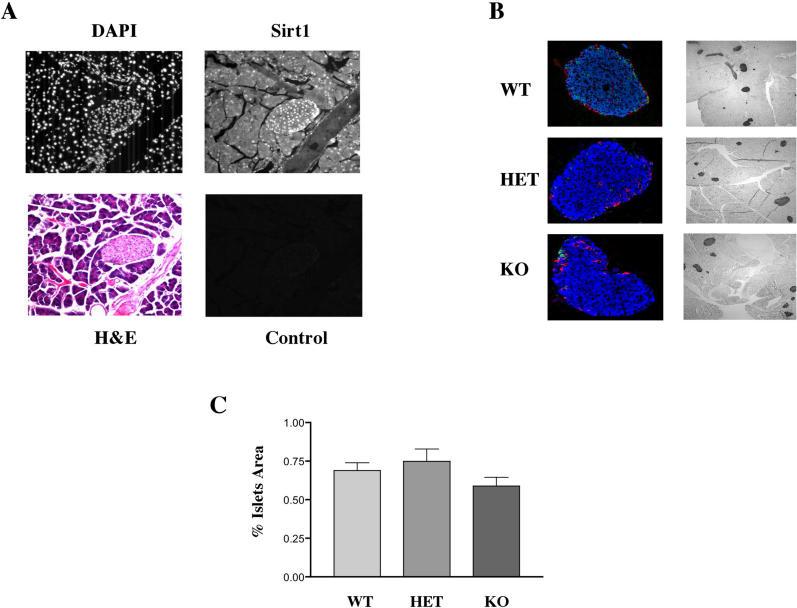 https://cdn.ncbi.nlm.nih.gov/pmc/blobs/9df8/1363697/7e5dc87ba062/pbio.0040031.g001.jpg