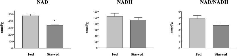 https://cdn.ncbi.nlm.nih.gov/pmc/blobs/9df8/1363697/c2bdbde5d805/pbio.0040031.g008.jpg