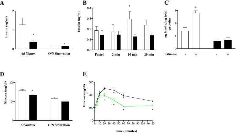 https://cdn.ncbi.nlm.nih.gov/pmc/blobs/9df8/1363697/e1f0141fe914/pbio.0040031.g002.jpg