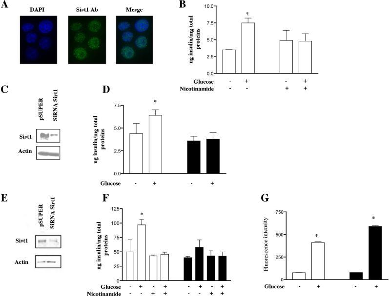 https://cdn.ncbi.nlm.nih.gov/pmc/blobs/9df8/1363697/f0f897fca9f5/pbio.0040031.g003.jpg