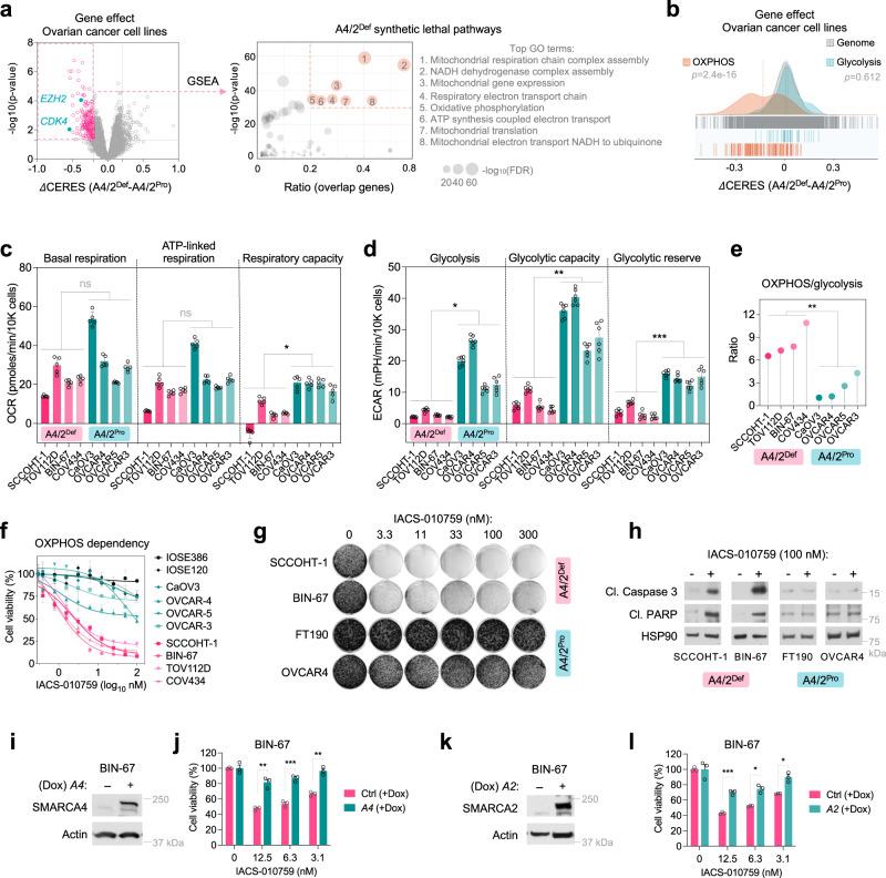 https://cdn.ncbi.nlm.nih.gov/pmc/blobs/9dfd/10199906/168018d1b3d1/41467_2023_38594_Fig1_HTML.jpg
