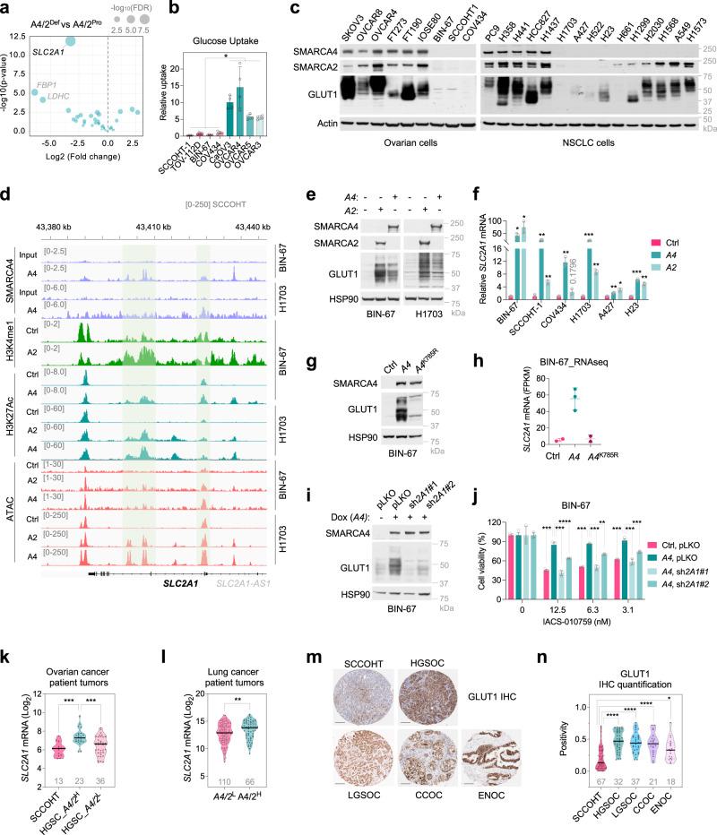 https://cdn.ncbi.nlm.nih.gov/pmc/blobs/9dfd/10199906/4b1127ee18b4/41467_2023_38594_Fig2_HTML.jpg