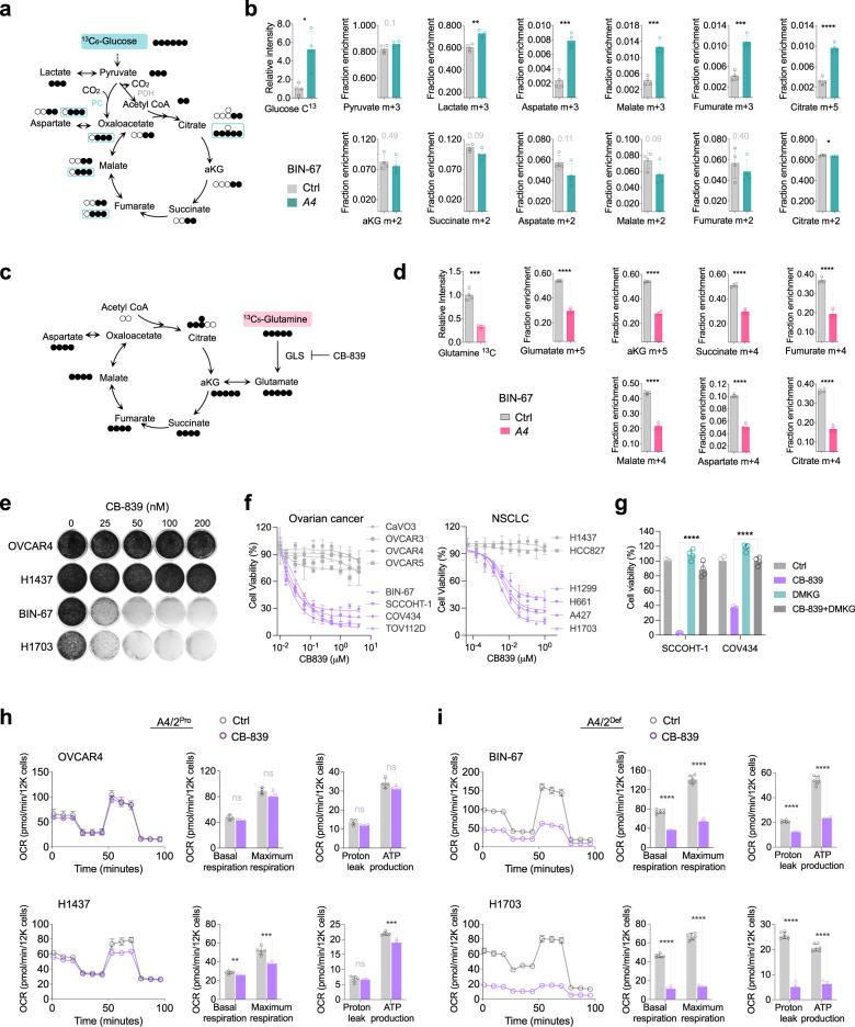 https://cdn.ncbi.nlm.nih.gov/pmc/blobs/9dfd/10199906/61309d5717e3/41467_2023_38594_Fig4_HTML.jpg