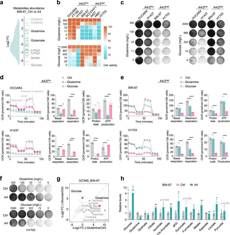 https://cdn.ncbi.nlm.nih.gov/pmc/blobs/9dfd/10199906/c40293ffe712/41467_2023_38594_Fig3_HTML.jpg
