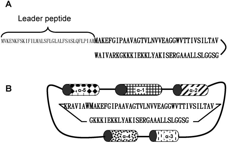 https://cdn.ncbi.nlm.nih.gov/pmc/blobs/9e01/4284732/da60fa51b42c/ijms-15-22706-g001.jpg