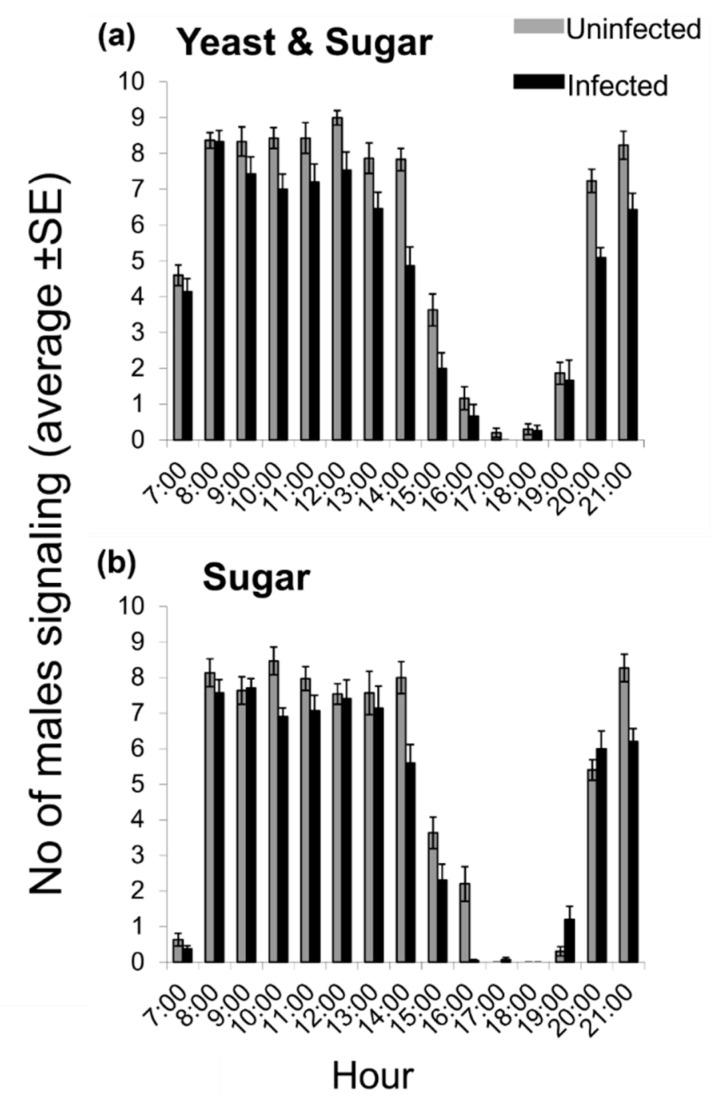 https://cdn.ncbi.nlm.nih.gov/pmc/blobs/9e03/9409120/e9847cc5105c/insects-13-00737-g002.jpg