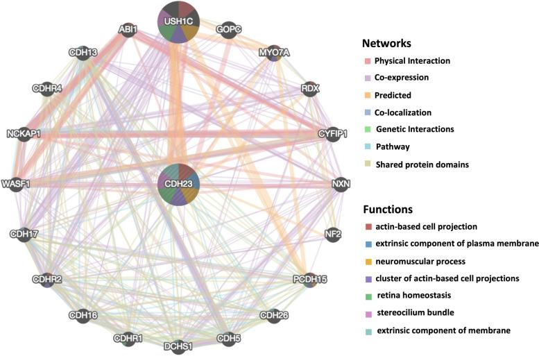 https://cdn.ncbi.nlm.nih.gov/pmc/blobs/9e04/9123811/d427a0d8e4fb/12885_2022_9532_Fig6_HTML.jpg