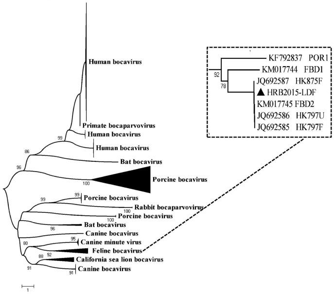 https://cdn.ncbi.nlm.nih.gov/pmc/blobs/9e05/5938208/21d906a51343/jvms-80-731-g001.jpg