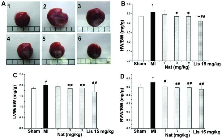 https://cdn.ncbi.nlm.nih.gov/pmc/blobs/9e08/4199399/89dfb5187ccf/IJMM-34-05-1209-g00.jpg