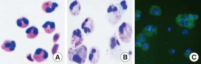 https://cdn.ncbi.nlm.nih.gov/pmc/blobs/9e0b/3283796/7e08a6024548/aair-4-68-g001.jpg