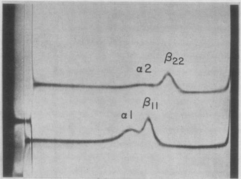 https://cdn.ncbi.nlm.nih.gov/pmc/blobs/9e0b/441982/751ec07c72a5/jcinvest00461-0098-a.jpg
