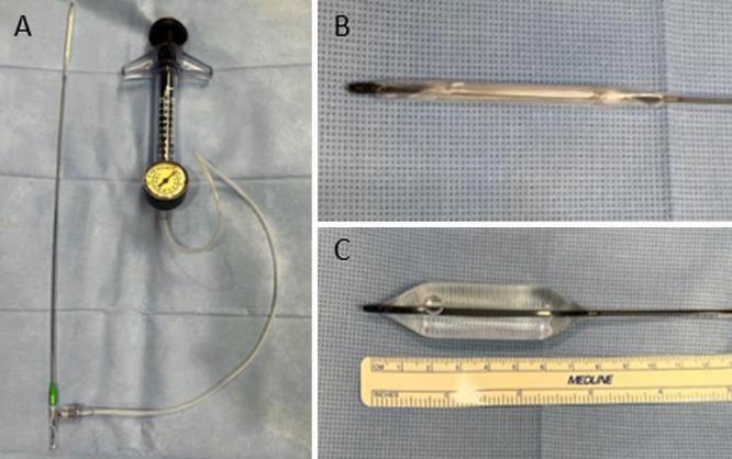 https://cdn.ncbi.nlm.nih.gov/pmc/blobs/9e0b/9451052/29e7e70fd384/CASE22276f2.jpg