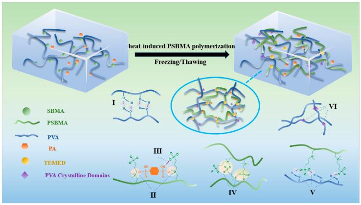 https://cdn.ncbi.nlm.nih.gov/pmc/blobs/9e0c/12250818/1de374e0ca8e/nanomaterials-15-01027-g001.jpg