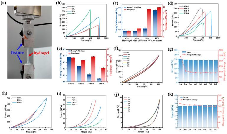 https://cdn.ncbi.nlm.nih.gov/pmc/blobs/9e0c/12250818/e709d6cd7ada/nanomaterials-15-01027-g002.jpg