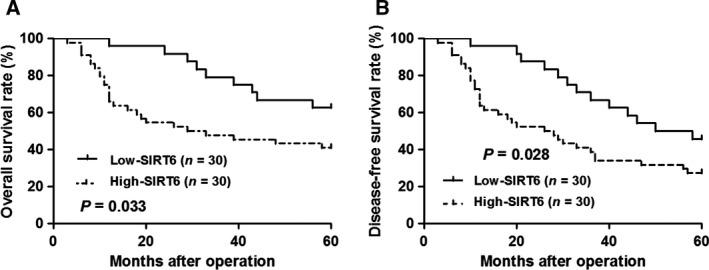 https://cdn.ncbi.nlm.nih.gov/pmc/blobs/9e0c/5586348/43cee90d21e0/FEB4-7-1291-g002.jpg