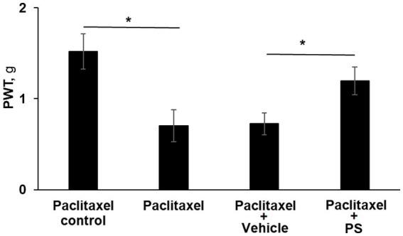 https://cdn.ncbi.nlm.nih.gov/pmc/blobs/9e0d/10860339/9aeea40d3693/fnins-17-1240372-g003.jpg