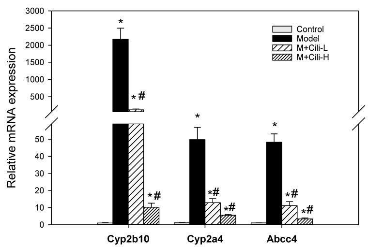 https://cdn.ncbi.nlm.nih.gov/pmc/blobs/9e0e/9104053/660a3513e206/nutrients-14-01974-g007.jpg