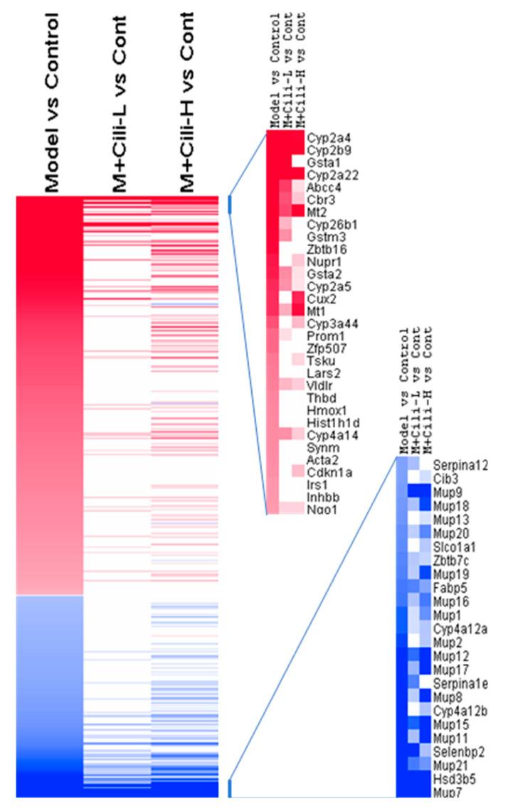 https://cdn.ncbi.nlm.nih.gov/pmc/blobs/9e0e/9104053/a39b4fdedd91/nutrients-14-01974-g006.jpg
