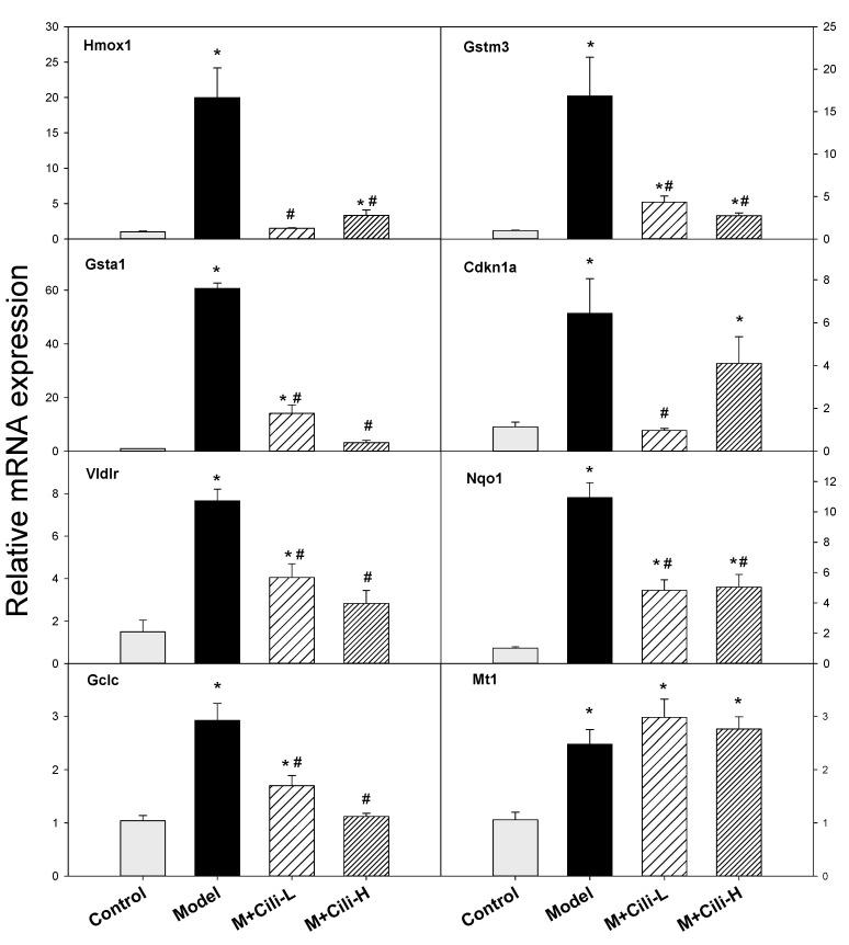 https://cdn.ncbi.nlm.nih.gov/pmc/blobs/9e0e/9104053/f90cb97cb0ef/nutrients-14-01974-g008.jpg
