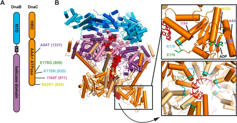 https://cdn.ncbi.nlm.nih.gov/pmc/blobs/9e11/11087952/0339f2302fc0/gr1.jpg